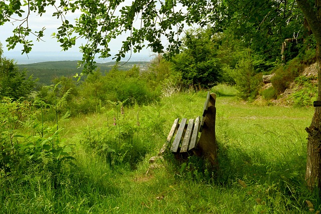 阵容的威力 阵容的威力