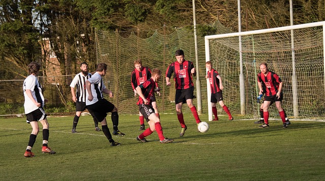 整体实力 整体实力