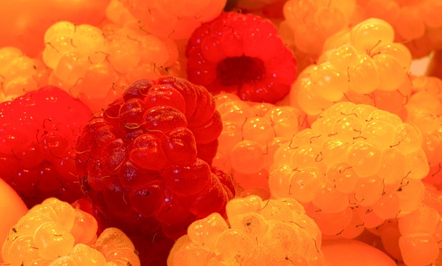 队长安德莉 队长安德莉