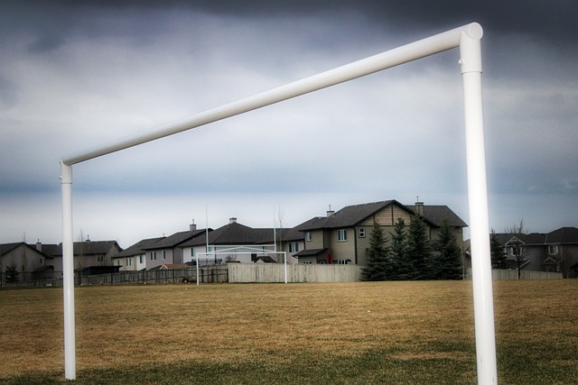 让人好奇的 让人好奇的